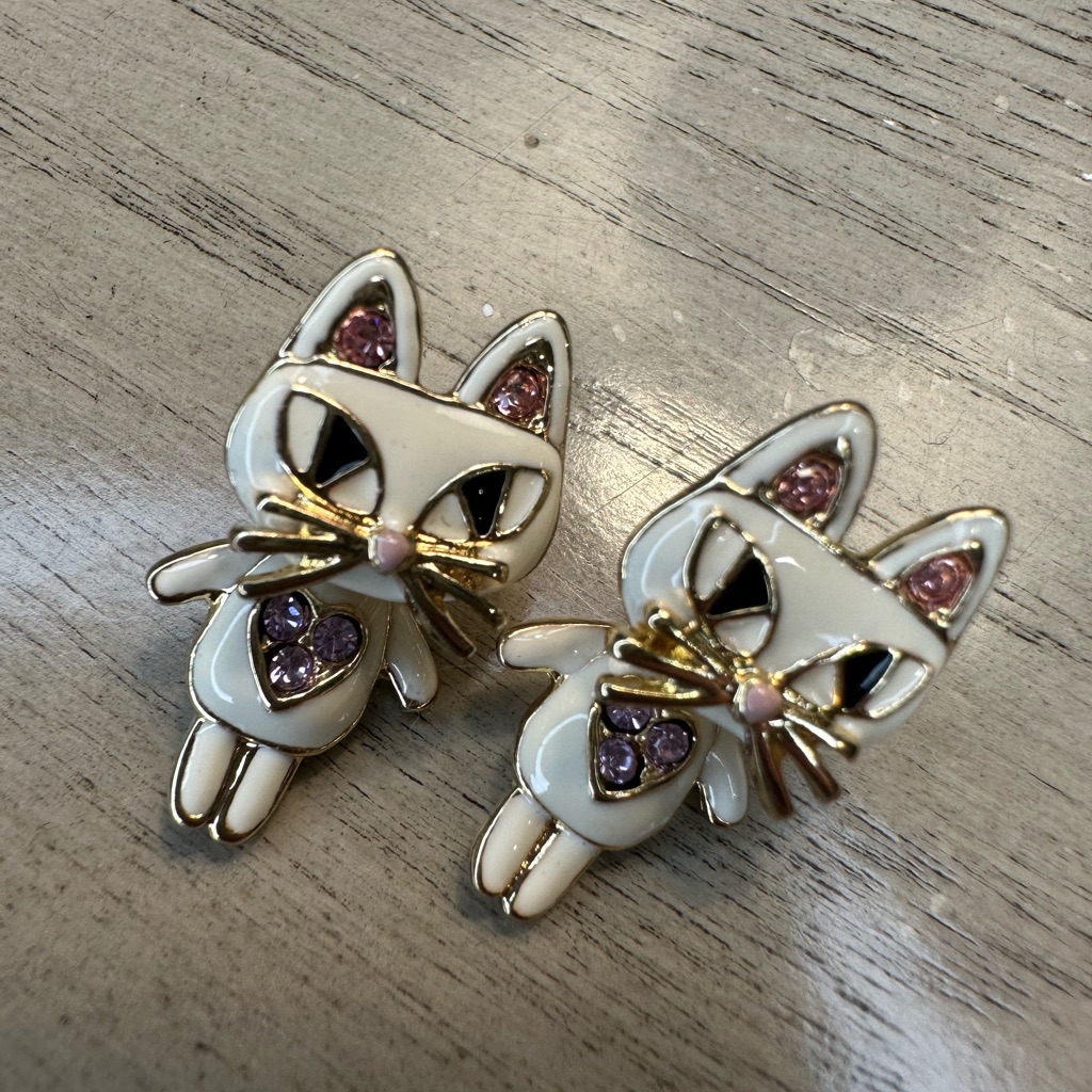 Cat Earrings, Posts